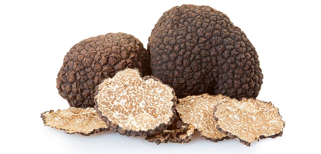 Summer truffle